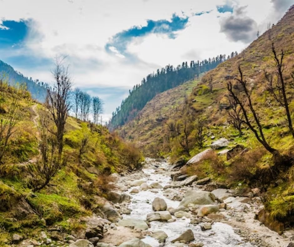 A lesser Himalayan mountain stream flows through a rocky bed in a lush green valley with trees.