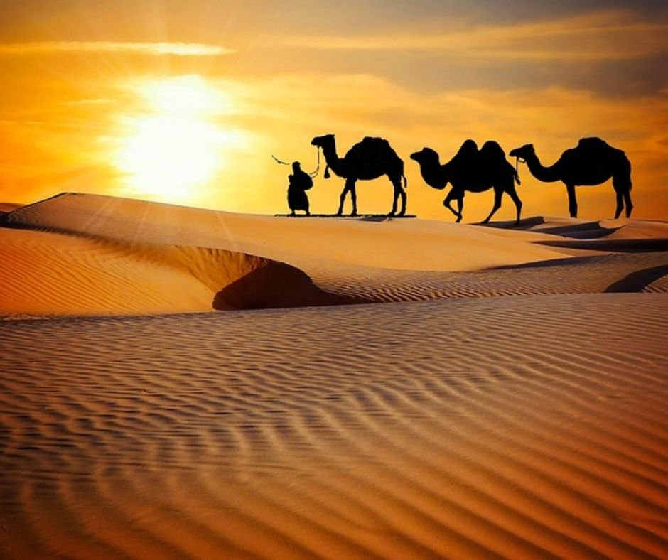 Silhouetted camels and guide walking on sand dunes at sunset.