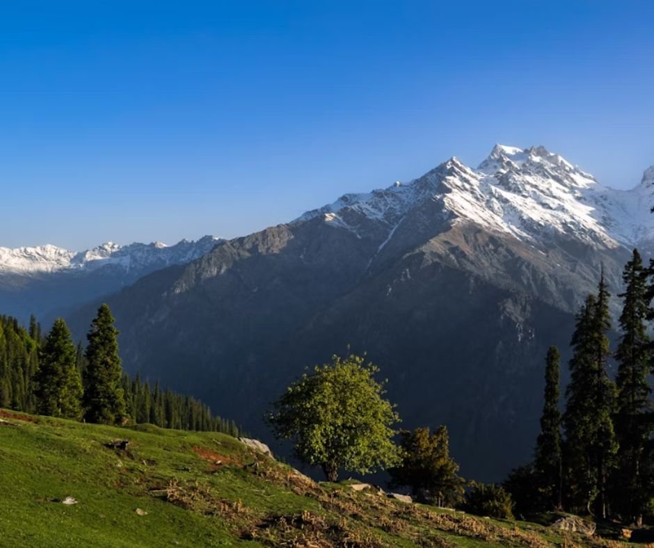 Lush green meadow with trees in foreground, snow-capped mountains under blue sky in background.