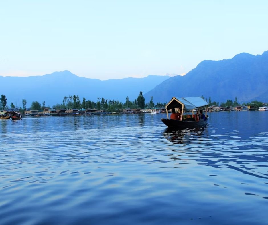 An image clicked by Exotic Travel Solutions of Shekara in Dal Lake with a blue sky and mountain backdrop.