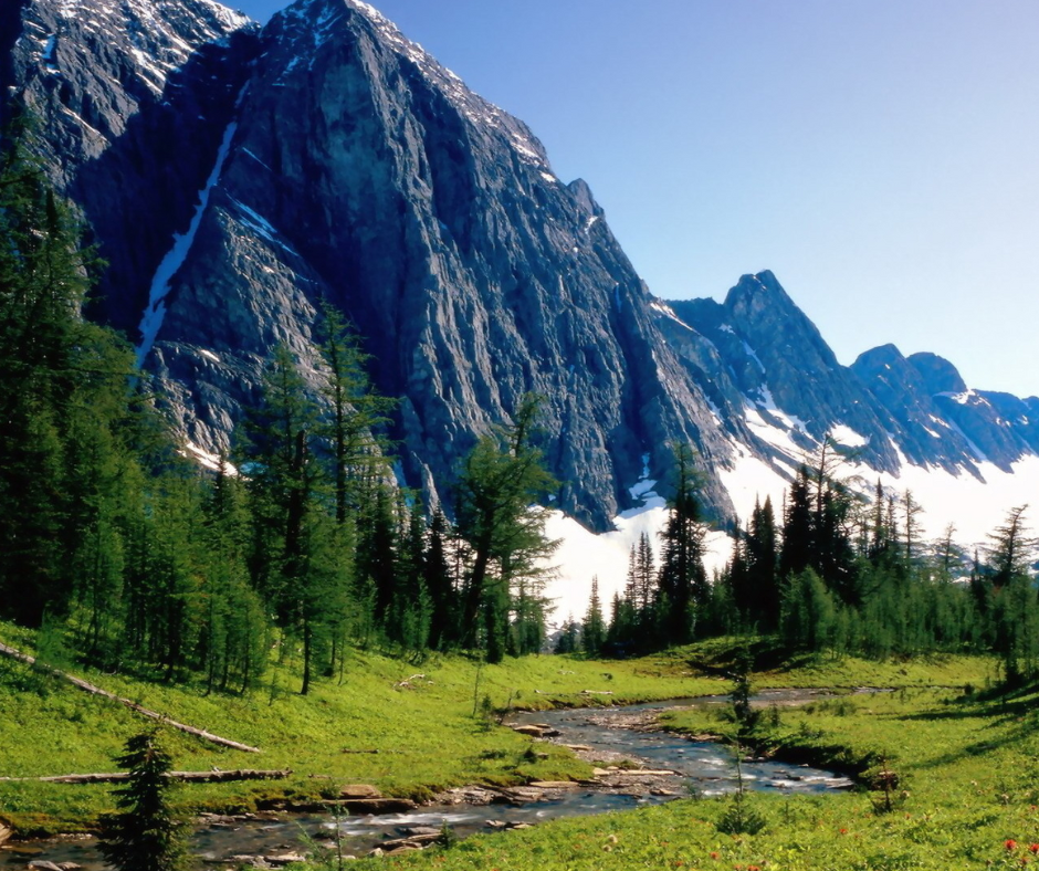 A stream flows through a green meadow with pine trees, leading up to a backdrop of tall, rocky, snow-capped mountains under a clear blue sky.