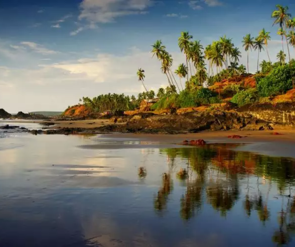 tranquil Goa beach scene with tall palm trees, rocky shoreline, and reflections in calm water under a blue sky with clouds.