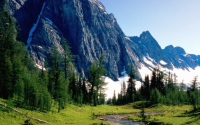 A stream flows through a green meadow with pine trees, leading up to a backdrop of tall, rocky, snow-capped mountains under a clear blue sky.